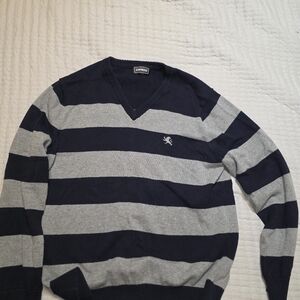 Express Dark Blue Knit Sweater